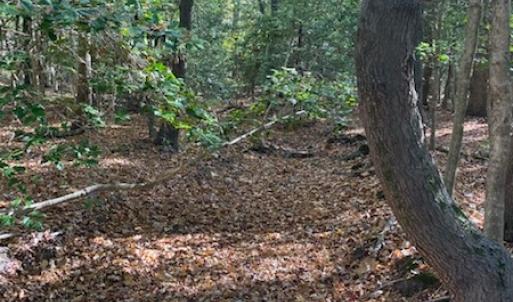 Photo #9 of SOLD property in Cypress Bridge Park, Newsoms, VA 63.4 acres