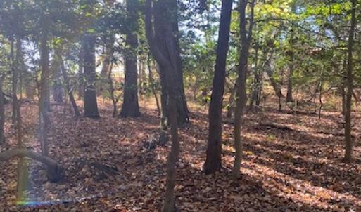 Photo #10 of SOLD property in Cypress Bridge Park, Newsoms, VA 63.4 acres
