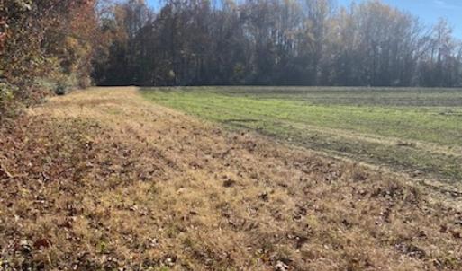 Photo #11 of SOLD property in Cypress Bridge Park, Newsoms, VA 63.4 acres
