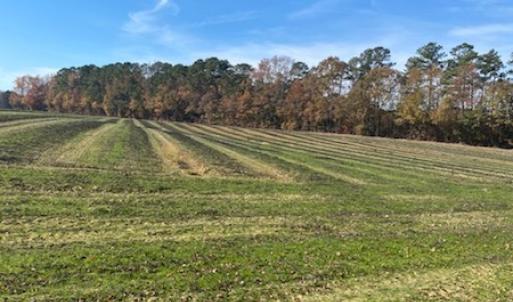 Photo #12 of SOLD property in Cypress Bridge Park, Newsoms, VA 63.4 acres
