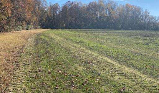 Photo #13 of SOLD property in Cypress Bridge Park, Newsoms, VA 63.4 acres