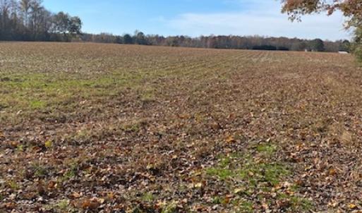 Photo #15 of SOLD property in Cypress Bridge Park, Newsoms, VA 63.4 acres