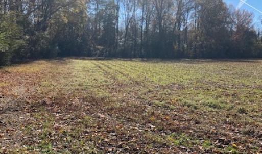 Photo #16 of SOLD property in Cypress Bridge Park, Newsoms, VA 63.4 acres