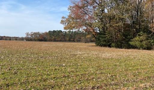 Photo #17 of SOLD property in Cypress Bridge Park, Newsoms, VA 63.4 acres