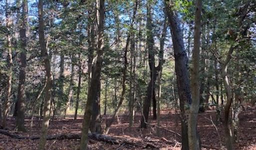 Photo #19 of SOLD property in Cypress Bridge Park, Newsoms, VA 63.4 acres