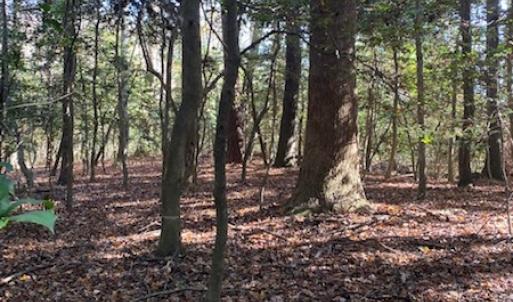Photo #21 of SOLD property in Cypress Bridge Park, Newsoms, VA 63.4 acres