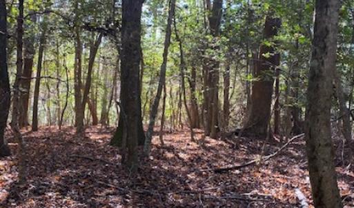 Photo #22 of SOLD property in Cypress Bridge Park, Newsoms, VA 63.4 acres