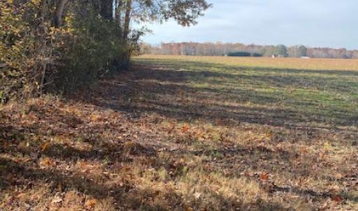 Photo #24 of SOLD property in Cypress Bridge Park, Newsoms, VA 63.4 acres
