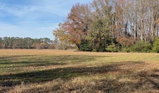 Photo #25 of SOLD property in Cypress Bridge Park, Newsoms, VA 63.4 acres