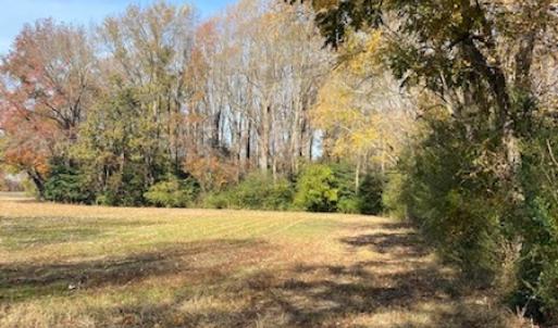 Photo #26 of SOLD property in Cypress Bridge Park, Newsoms, VA 63.4 acres