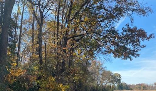 Photo #28 of SOLD property in Cypress Bridge Park, Newsoms, VA 63.4 acres