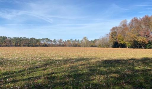 Photo #29 of SOLD property in Cypress Bridge Park, Newsoms, VA 63.4 acres