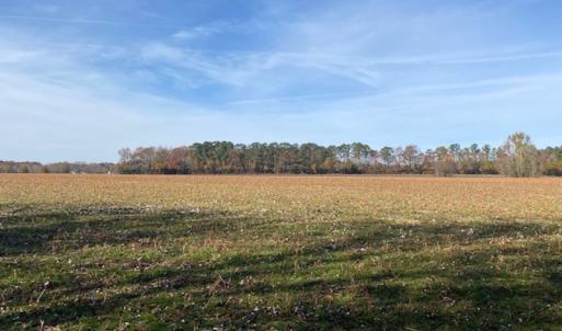 Photo #30 of SOLD property in Cypress Bridge Park, Newsoms, VA 63.4 acres