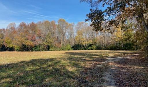 Photo #31 of SOLD property in Cypress Bridge Park, Newsoms, VA 63.4 acres