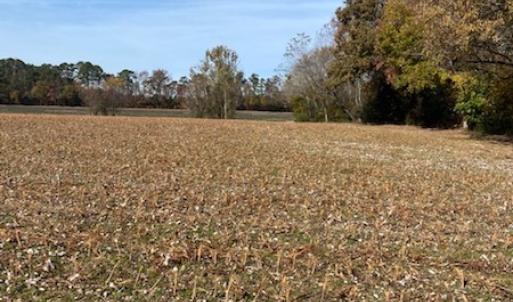 Photo #32 of SOLD property in Cypress Bridge Park, Newsoms, VA 63.4 acres