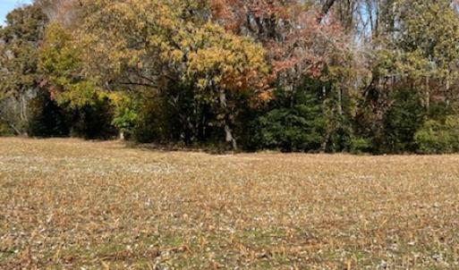 Photo #33 of SOLD property in Cypress Bridge Park, Newsoms, VA 63.4 acres