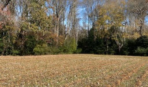 Photo #34 of SOLD property in Cypress Bridge Park, Newsoms, VA 63.4 acres