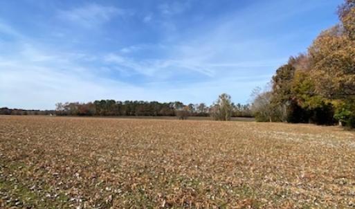 Photo #35 of SOLD property in Cypress Bridge Park, Newsoms, VA 63.4 acres