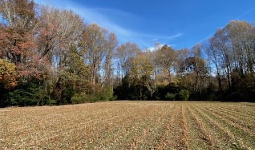 Photo #36 of SOLD property in Cypress Bridge Park, Newsoms, VA 63.4 acres