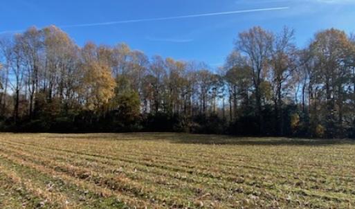 Photo #37 of SOLD property in Cypress Bridge Park, Newsoms, VA 63.4 acres