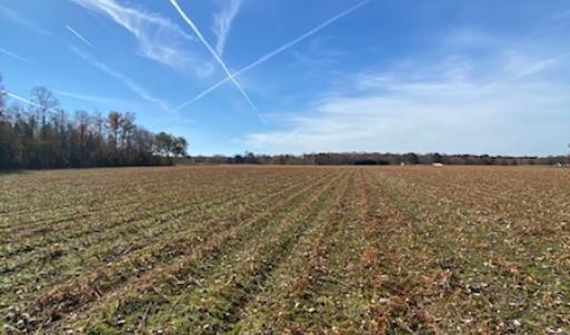 Photo #38 of SOLD property in Cypress Bridge Park, Newsoms, VA 63.4 acres