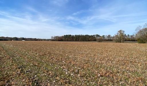 Photo #39 of SOLD property in Cypress Bridge Park, Newsoms, VA 63.4 acres