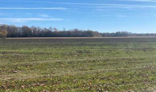 Photo #40 of SOLD property in Cypress Bridge Park, Newsoms, VA 63.4 acres