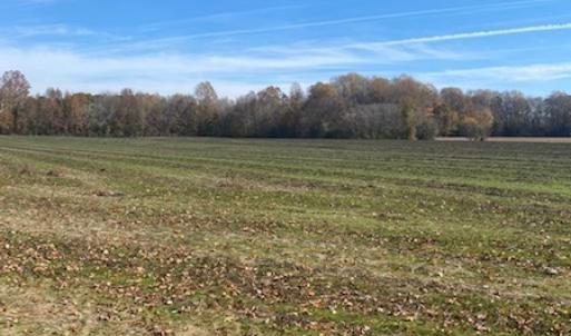 Photo #41 of SOLD property in Cypress Bridge Park, Newsoms, VA 63.4 acres