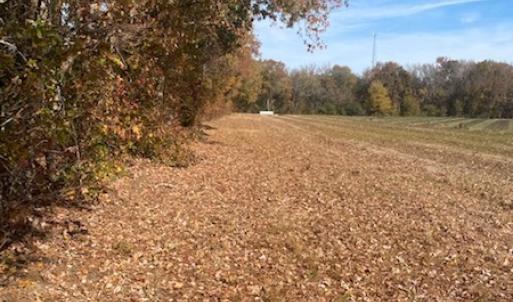 Photo #42 of SOLD property in Cypress Bridge Park, Newsoms, VA 63.4 acres