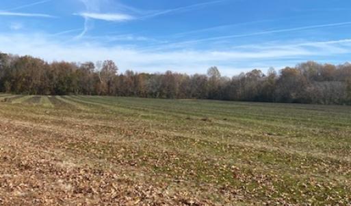 Photo #43 of SOLD property in Cypress Bridge Park, Newsoms, VA 63.4 acres