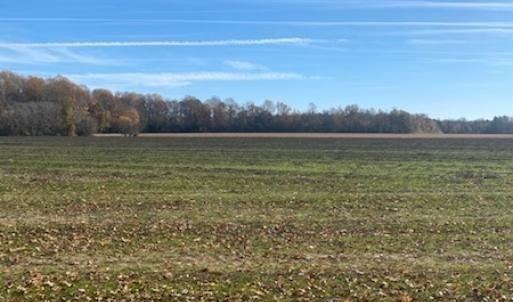Photo #44 of SOLD property in Cypress Bridge Park, Newsoms, VA 63.4 acres