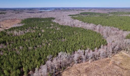 Photo #9 of SOLD property in Off Peninsula Lane, Bullock, NC 68.0 acres