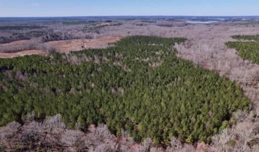 Photo #10 of SOLD property in Off Peninsula Lane, Bullock, NC 68.0 acres