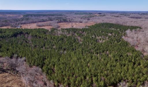 Photo #11 of SOLD property in Off Peninsula Lane, Bullock, NC 68.0 acres