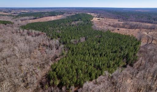 Photo #12 of SOLD property in Off Peninsula Lane, Bullock, NC 68.0 acres