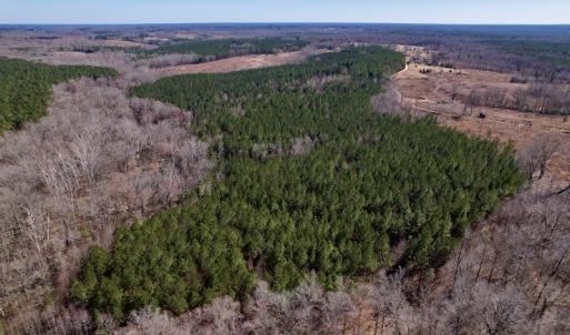 Photo #13 of SOLD property in Off Peninsula Lane, Bullock, NC 68.0 acres