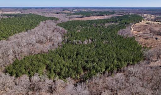 Photo #14 of SOLD property in Off Peninsula Lane, Bullock, NC 68.0 acres