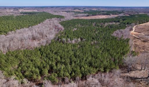 Photo #15 of SOLD property in Off Peninsula Lane, Bullock, NC 68.0 acres