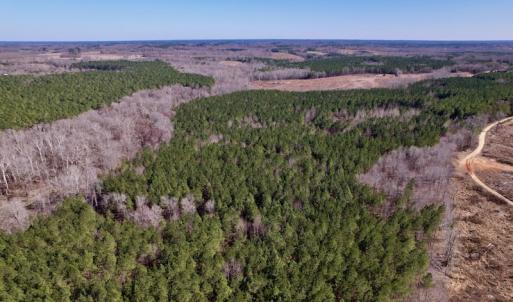 Photo #16 of SOLD property in Off Peninsula Lane, Bullock, NC 68.0 acres