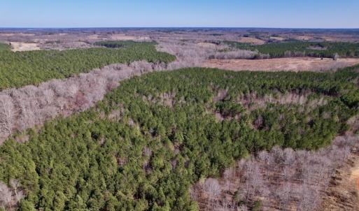 Photo #17 of SOLD property in Off Peninsula Lane, Bullock, NC 68.0 acres