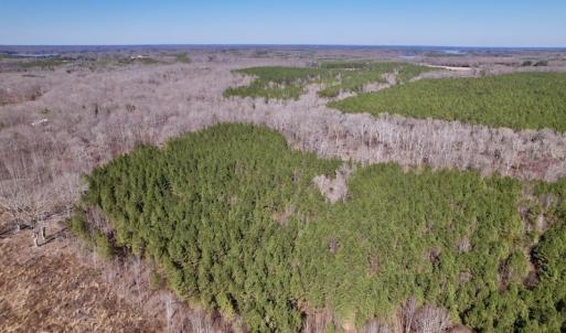 Photo #18 of SOLD property in Off Peninsula Lane, Bullock, NC 68.0 acres