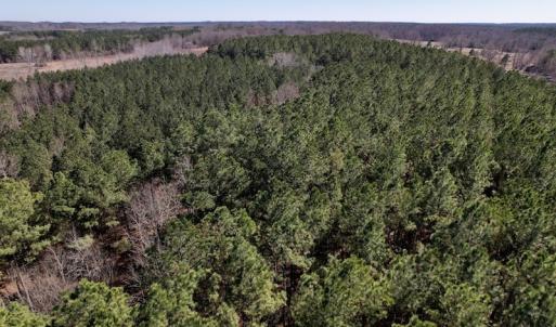 Photo #21 of SOLD property in Off Peninsula Lane, Bullock, NC 68.0 acres