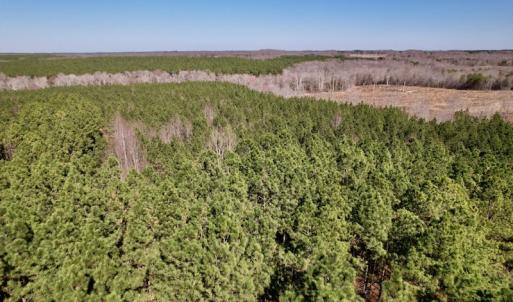 Photo #22 of SOLD property in Off Peninsula Lane, Bullock, NC 68.0 acres