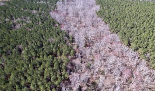 Photo #23 of SOLD property in Off Peninsula Lane, Bullock, NC 68.0 acres