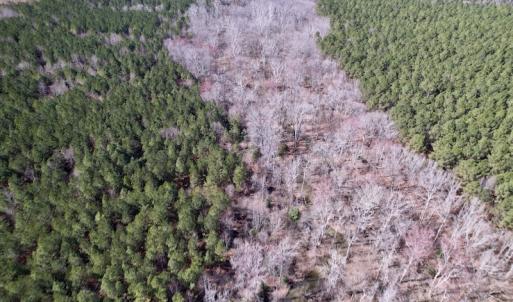 Photo #23 of SOLD property in Off Peninsula Lane, Bullock, NC 68.0 acres