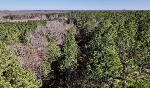 Photo #25 of SOLD property in Off Peninsula Lane, Bullock, NC 68.0 acres