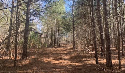 Photo #26 of SOLD property in Off Peninsula Lane, Bullock, NC 68.0 acres