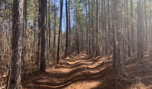 Photo #27 of SOLD property in Off Peninsula Lane, Bullock, NC 68.0 acres