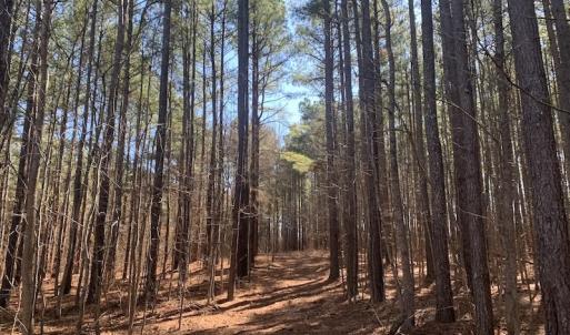 Photo #28 of SOLD property in Off Peninsula Lane, Bullock, NC 68.0 acres