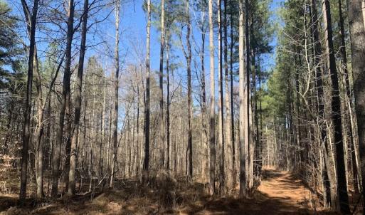 Photo #30 of SOLD property in Off Peninsula Lane, Bullock, NC 68.0 acres